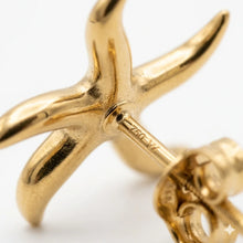 Elegant Starfish Stud Earrings